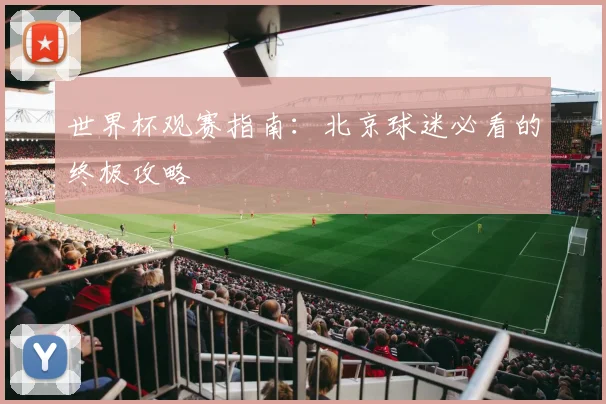 世界杯观赛指南：北京球迷必看的终极攻略