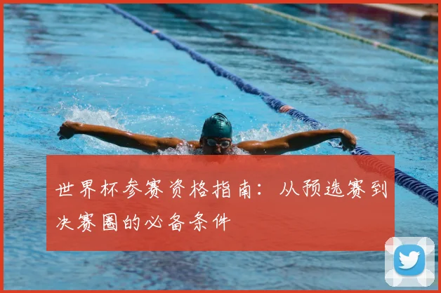 世界杯参赛资格指南：从预选赛到决赛圈的必备条件